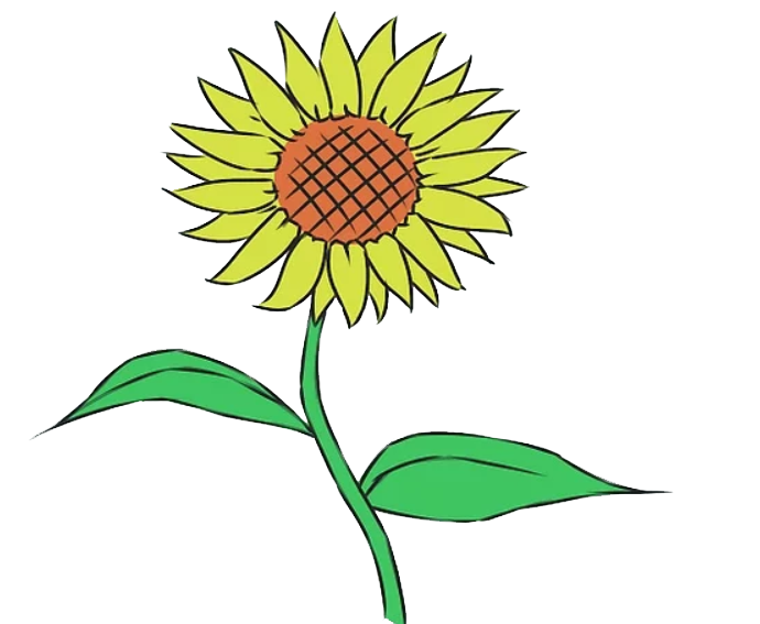 Hoa Vector Hoa Hoa Mẫu Bối Cảnh Của Outline Vintage Daisy Hoa Hình Nền Phác  Thảo Hoa Vẽ Tay Hình minh họa Sẵn có  Tải xuống Hình ảnh Ngay bây giờ 